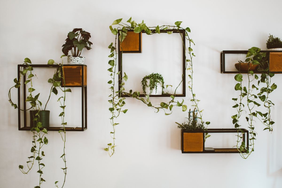 Small Apartment Vertical Storage Ideas - small apartment organization guide